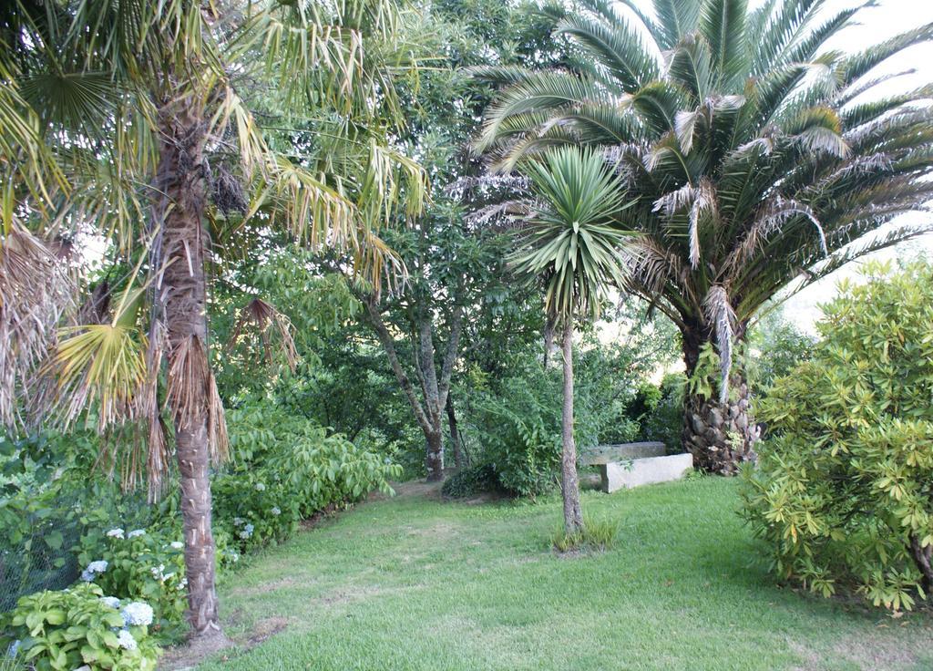 Quinta De Canhoes São Pedro do Sul エクステリア 写真