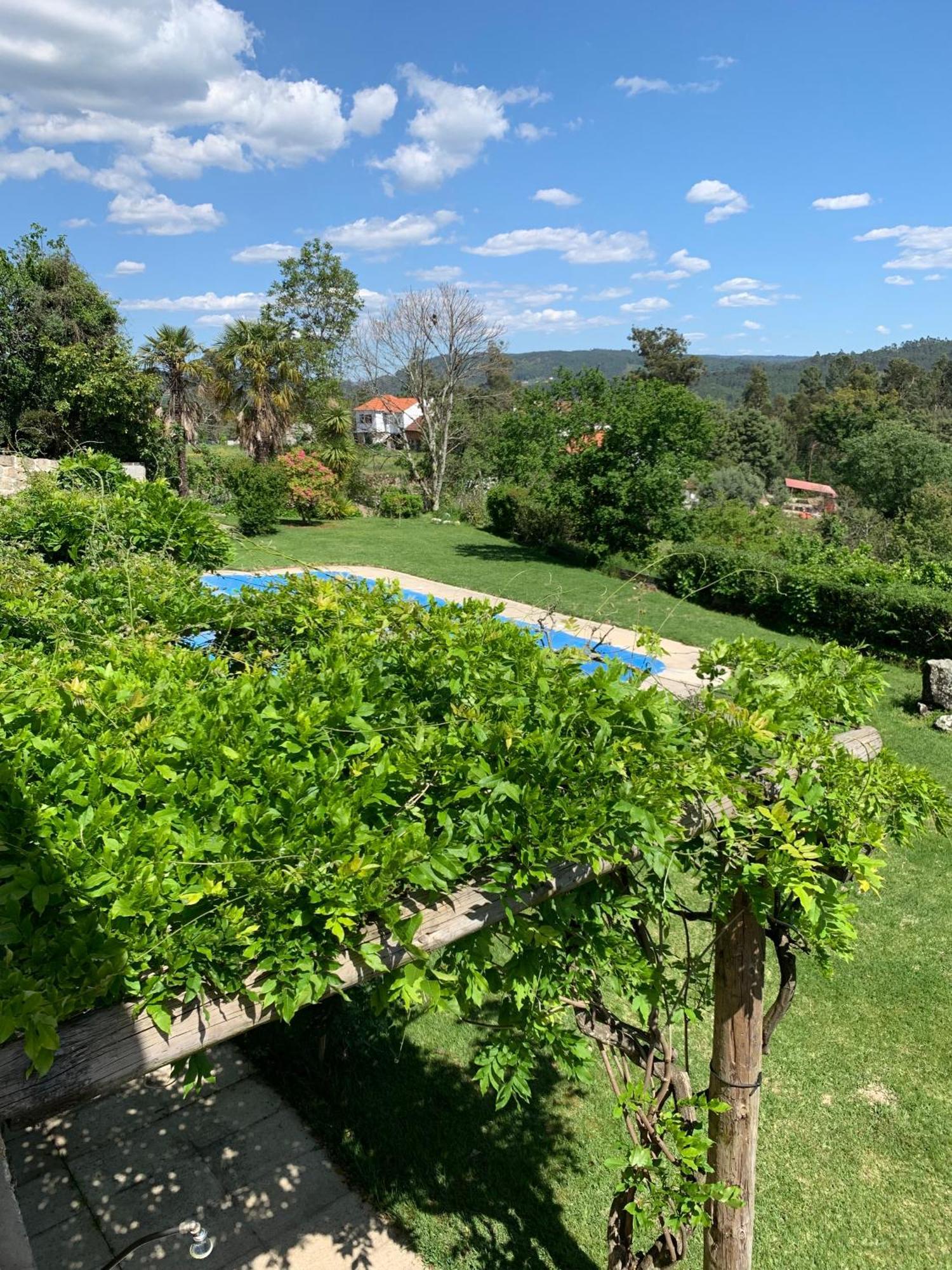Quinta De Canhoes São Pedro do Sul エクステリア 写真