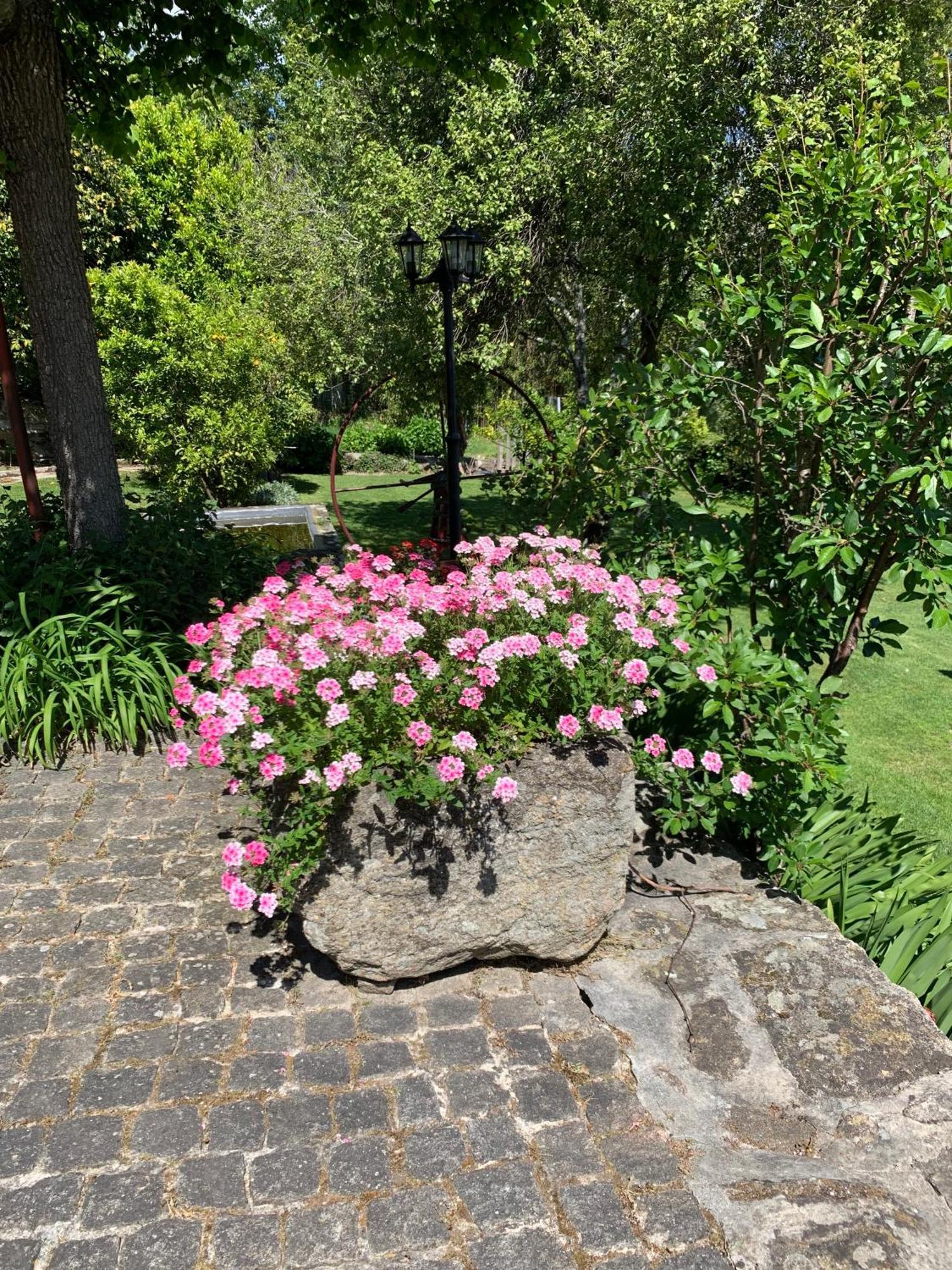 Quinta De Canhoes São Pedro do Sul エクステリア 写真
